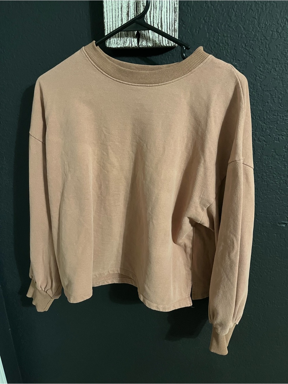 Wishlist Relaxed Crewneck Sweatshirt in Taupe
